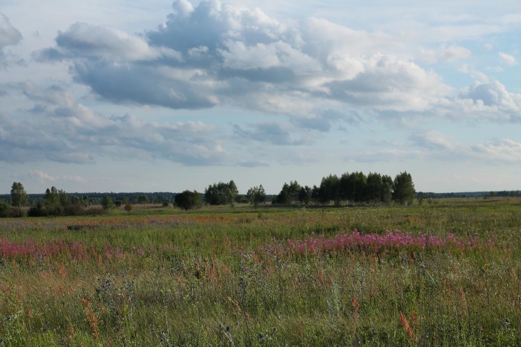 Пейзаж в Калужской области
