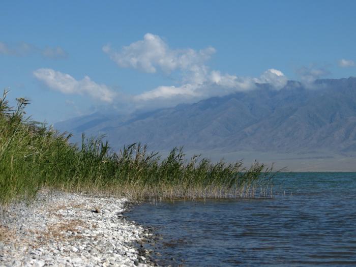 казахстан озеро алаколь