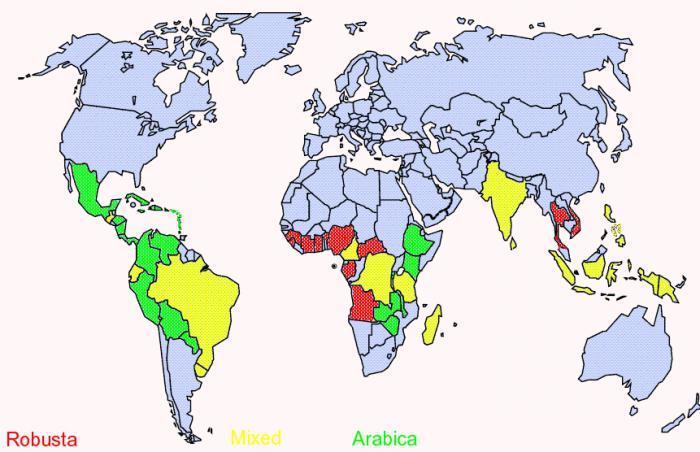 страны где выращивают кофе 
