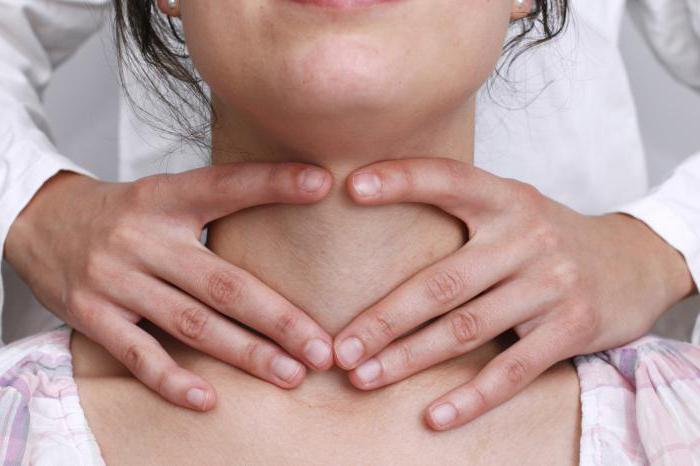 щитовидная железа расположение в организме 