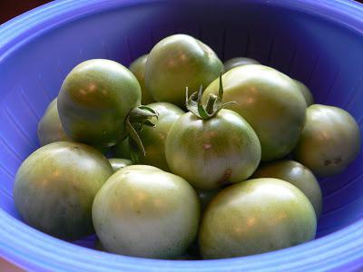 квашеные зеленые помидоры фаршированные 