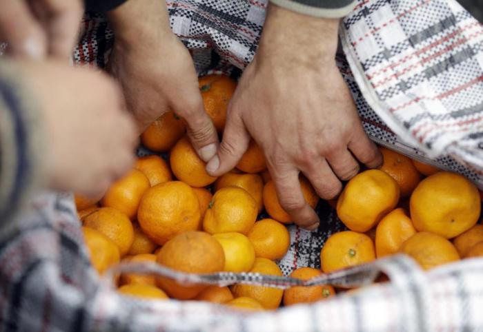 сезон мандаринов в абхазии 