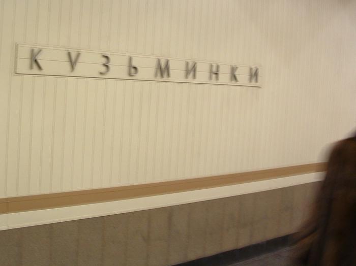 станция метро кузьминки 