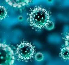 вирусы гриппа и орви