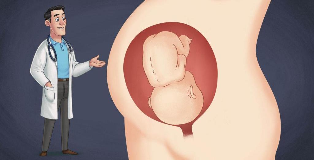 Эмбриональный срок беременности: определение, правила подсчета и советы гинекологов