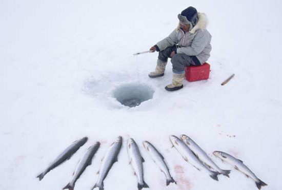 зимняя рыбалка в Карелии отзывы