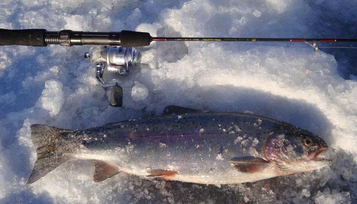 зимняя рыбалка в Карелии на реке