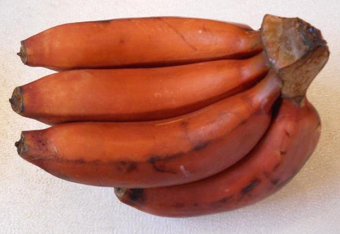 как едят красные бананы