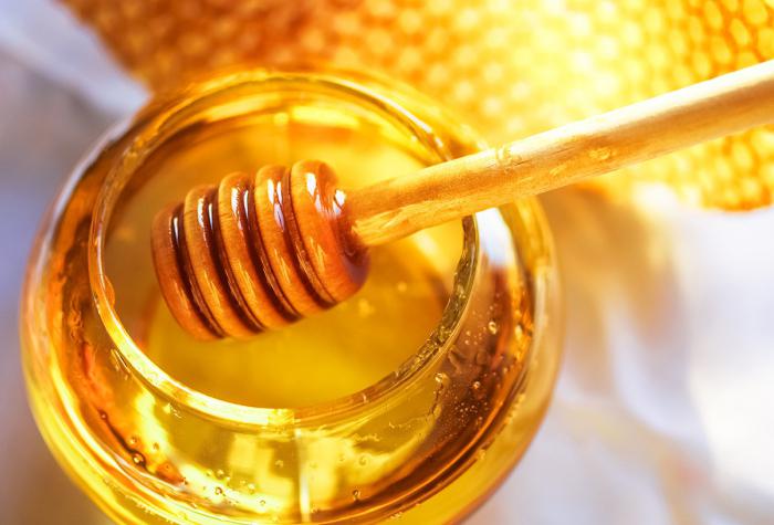 чем полезен мед натощак
