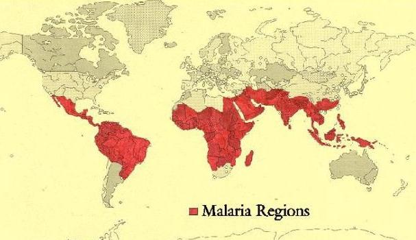 ареал обитания малярийных комаров