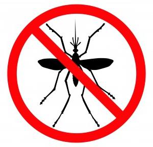 почему после укуса комара чешется