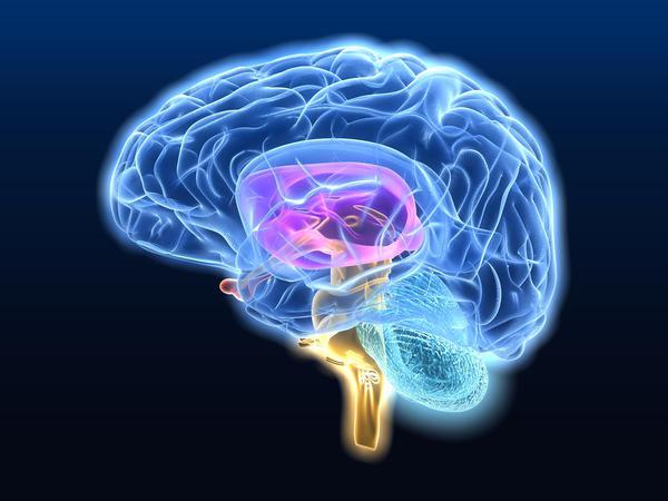 атеросклероз сосудов головного мозга симптомы и лечение травами