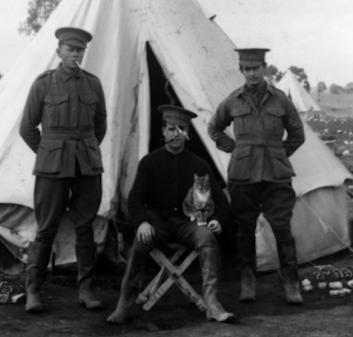 неизвестные факты первой мировой войны