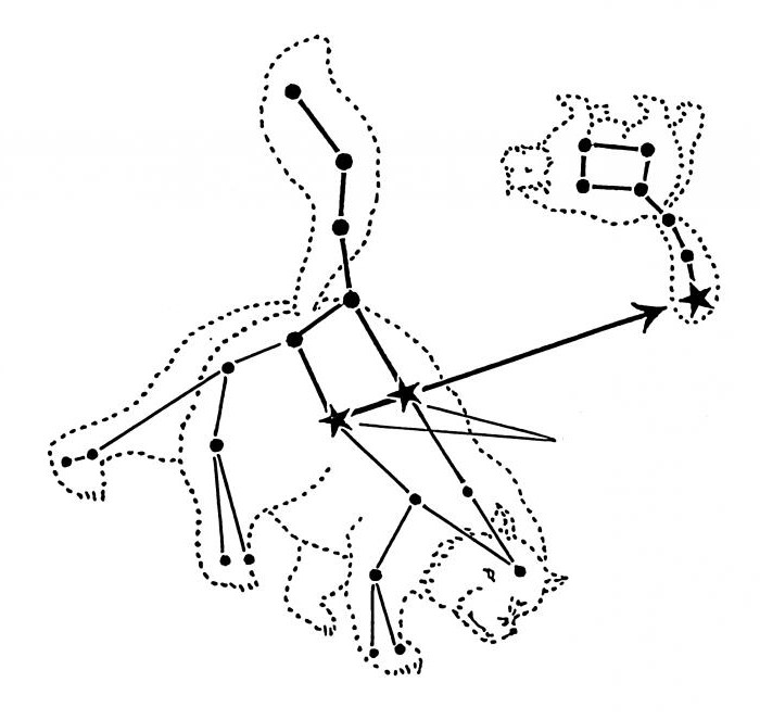 список звезд созвездия малой медведицы