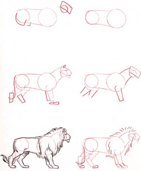 как рисовать льва поэтапно