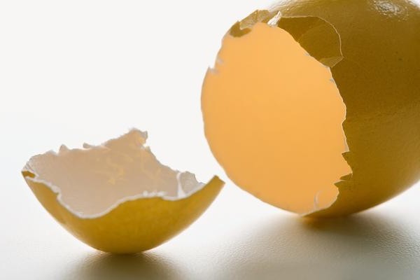 как сделать из яйца поделку