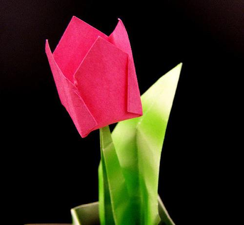 тюльпаны из бумаги своими руками