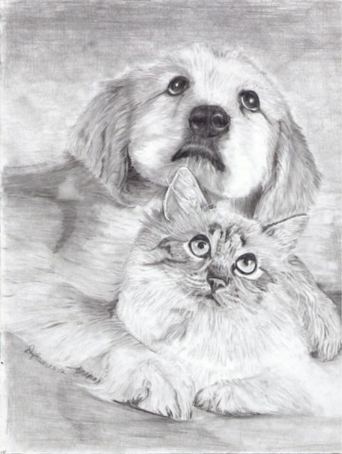 как нарисовать кошку и собаку
