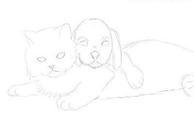 как нарисовать кошку и собаку карандашом поэтапно для начинающих