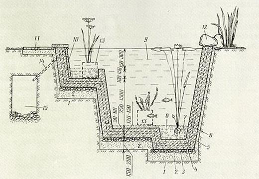 схема пруда