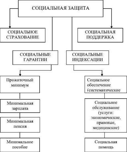 меры социальной поддержки отдельных категорий граждан