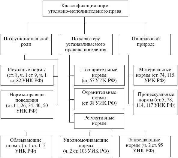 уголовно процессуальные нормы их виды и структура рб