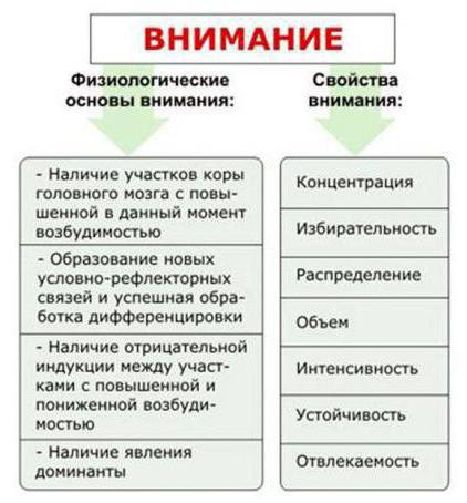 физиологические механизмы и психологические теории внимания