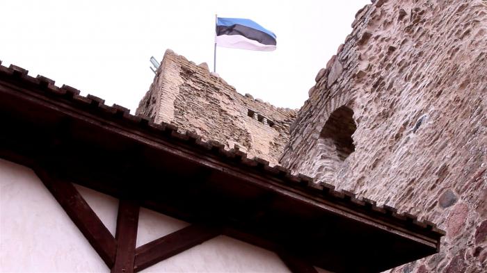 Как выглядит флаг Эстонии?