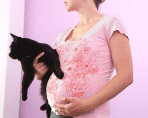 пцр токсоплазмоз и беременность