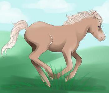 как рисовать пони