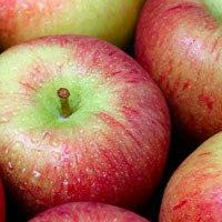Какие фрукты можно при грудном вскармливании?