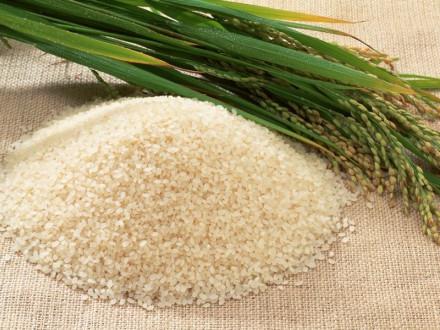 вред и польза риса
