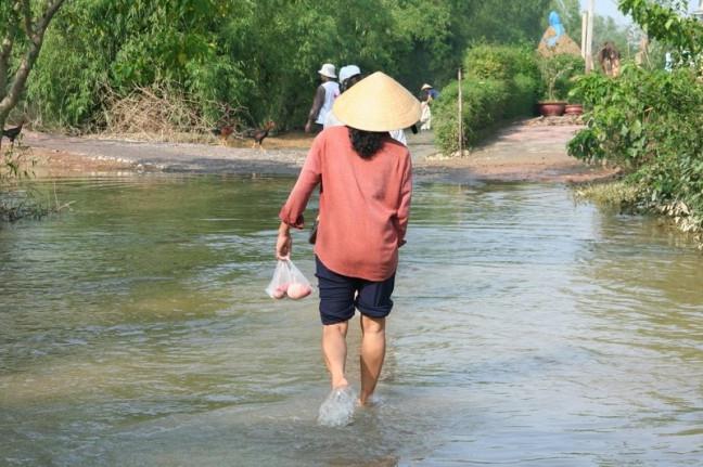 Климат Вьетнама
