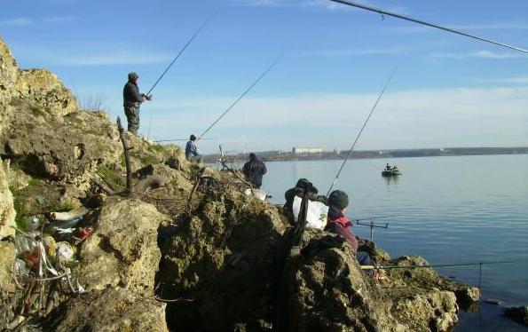 Рыбалка в Ставропольском крае 