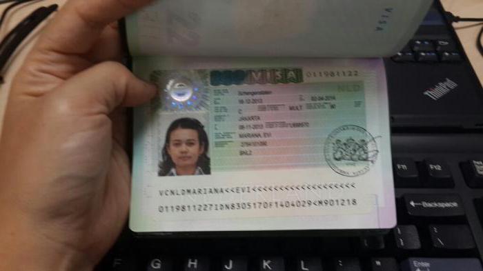 шенгенская виза на 5 лет как получить