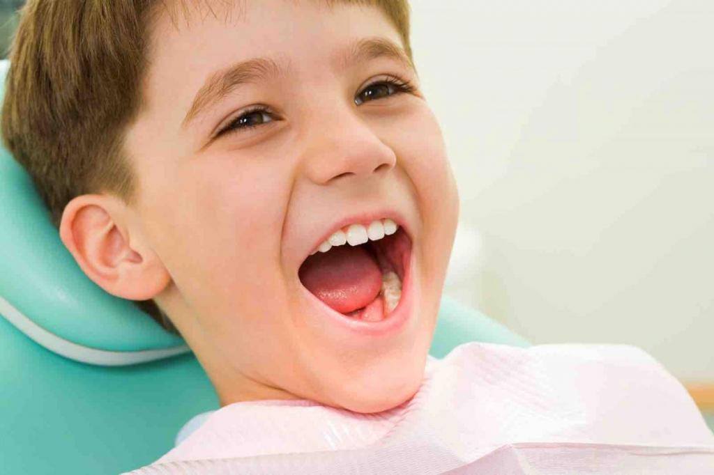 периоды развития зуба