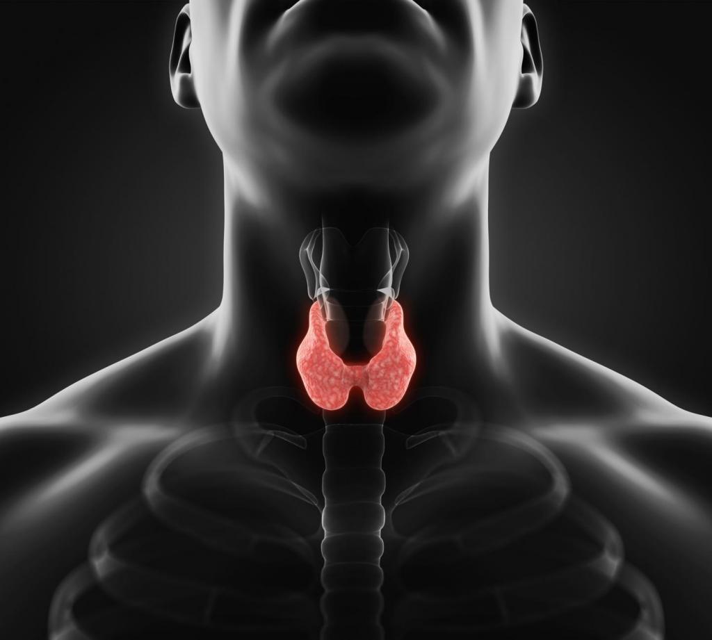 гипотиреоз щитовидной железы лечение