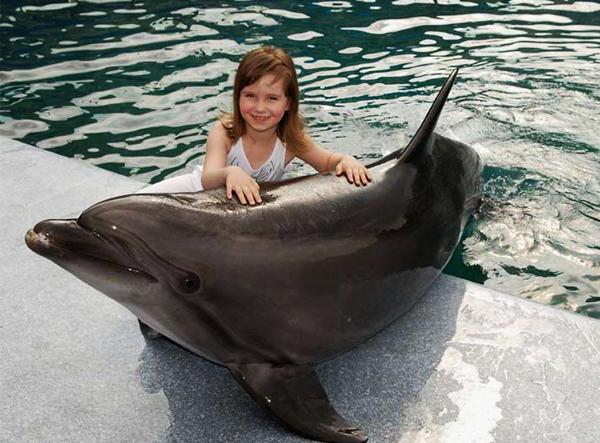 дельфинарий в москве плавать с дельфинами