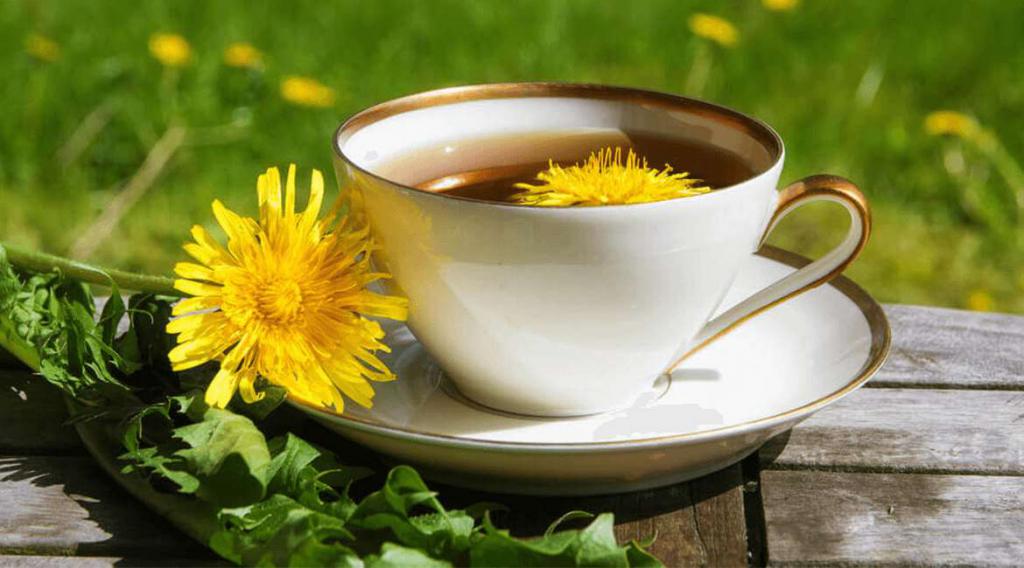 полезные свойства чая из одуванчика