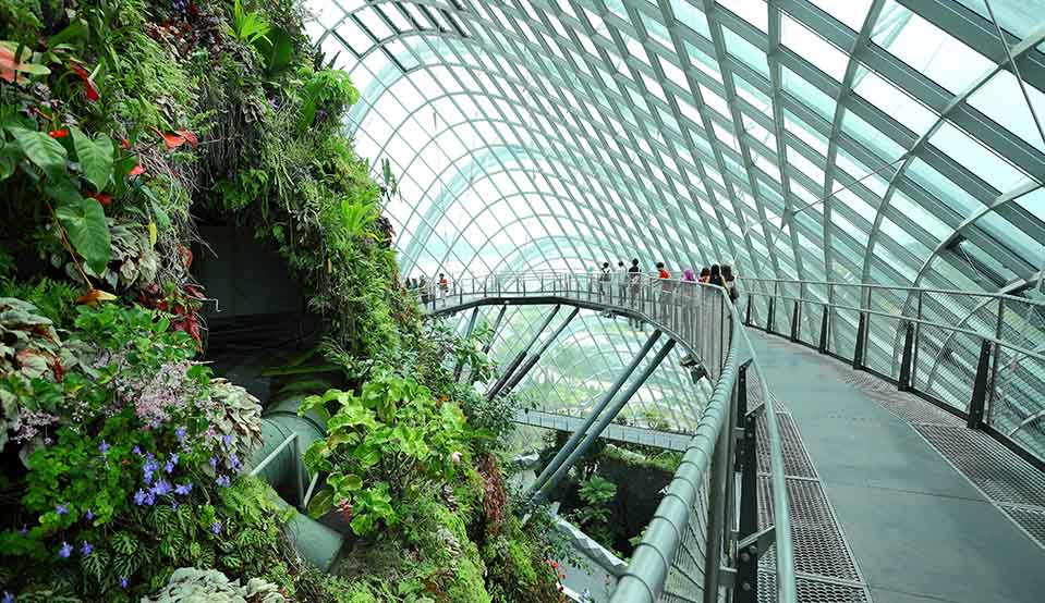 сады gardens by the bay в сингапуре