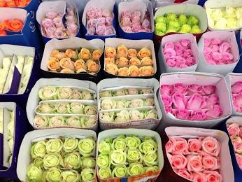 рижский рынок цветов время работы