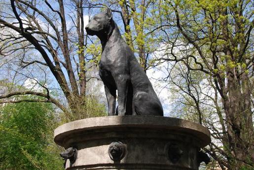 памятник собаке в тольятти