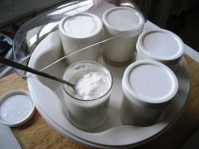 приготовление творога в йогуртнице