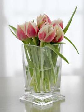 как хранить срезанные тюльпаны
