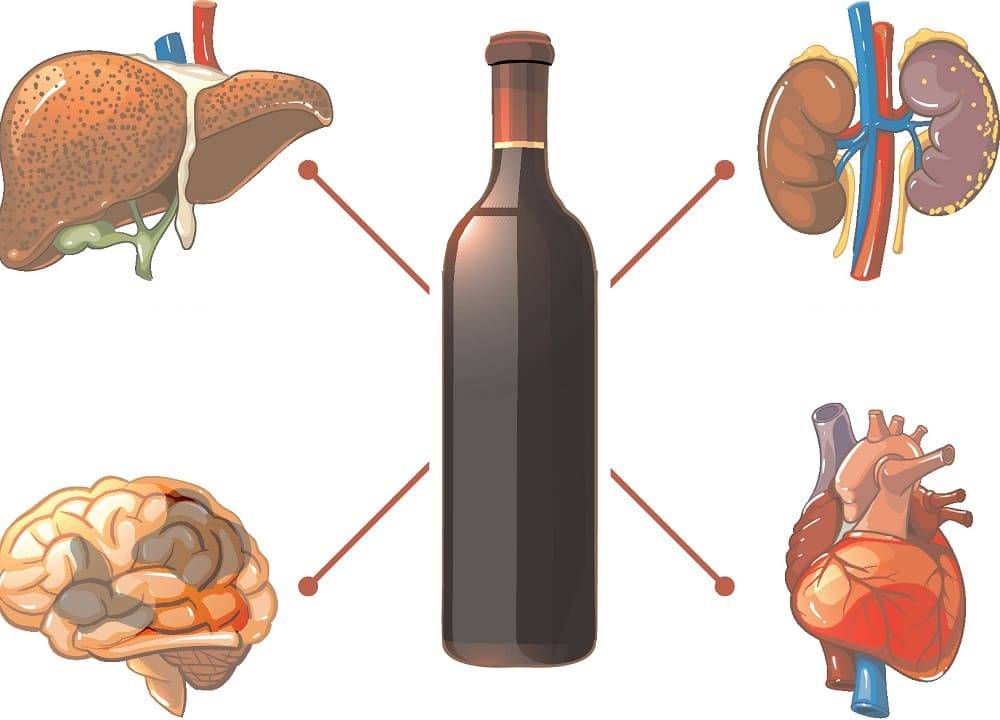 Влияние алкоголя на внутренние органы