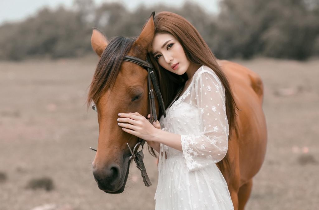 Лошадь и девушка