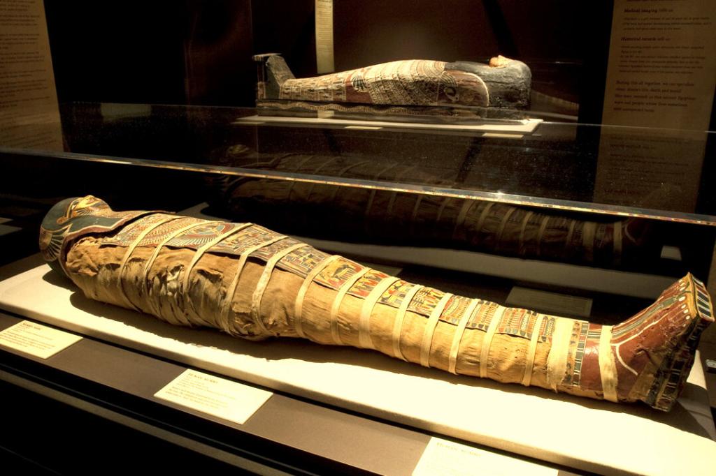 Мумия из Древнего Египта