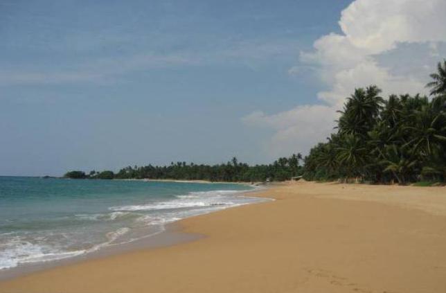  induruwa beach resort 3 шри ланка отзывы