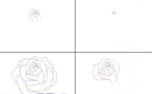 как нарисовать розу карандашом легко