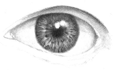 как нарисовать глаза карандашом верхнее веко